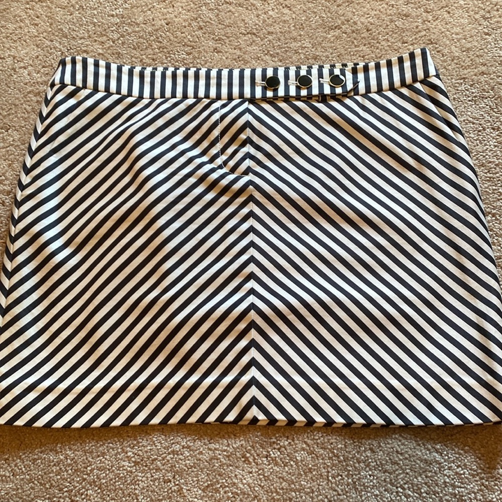 JCrew Skirt